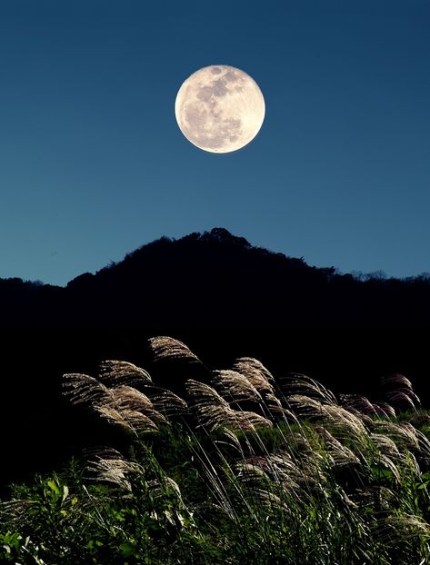 043f3f1e4d53fcf20d1bbde3e9d583